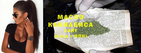 винт Каменка