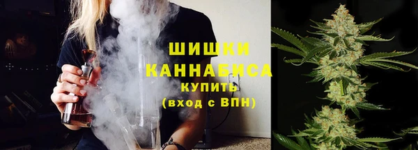 винт Каменка