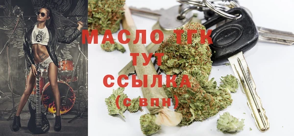 винт Каменка