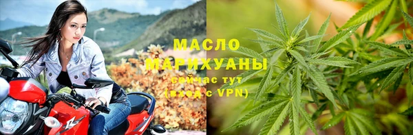 винт Каменка