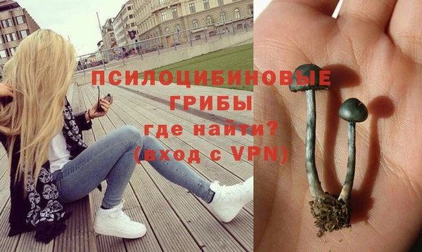 скорость mdpv Каменногорск