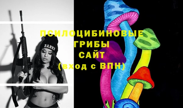 гидропоника Каменск-Шахтинский