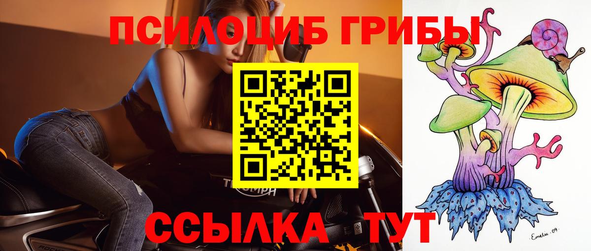 Псилоцибиновые грибы GOLDEN TEACHER Ишимбай